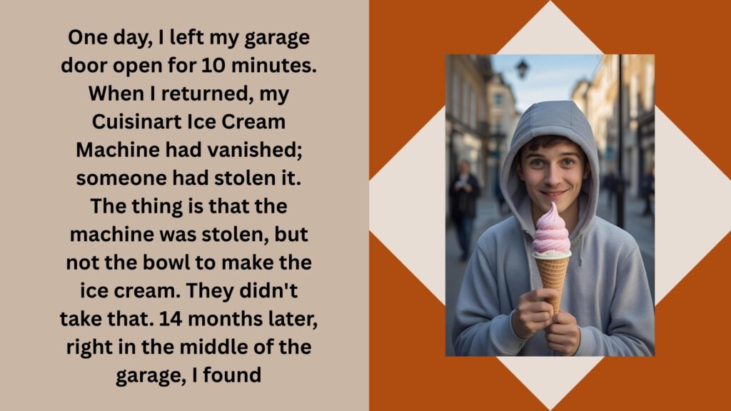 Ice Cream Thief Came Back