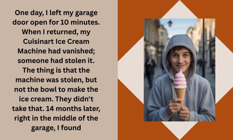 Ice Cream Thief Came Back