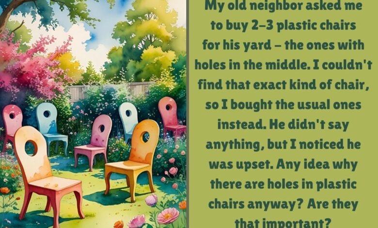 MY NEIGHBOR WANTED CHAIRS WITH HOLES