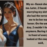 She Stole My Fiancé