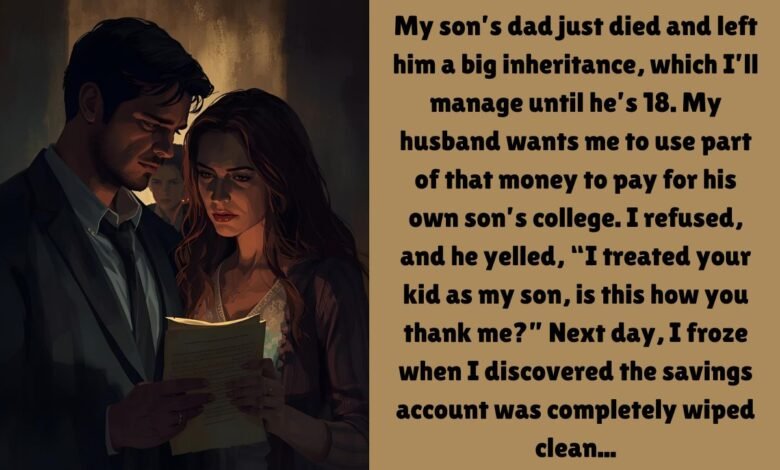 My Husband Wanted To Use My Son’s Inheritance