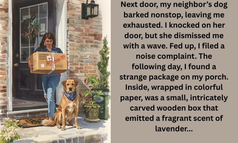 The Mysterious Package