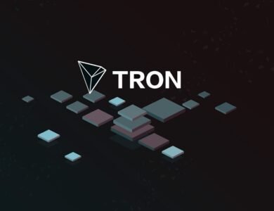TRON Guide