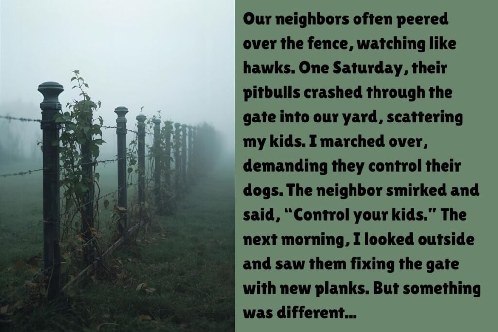 The Fence That Bound Us
