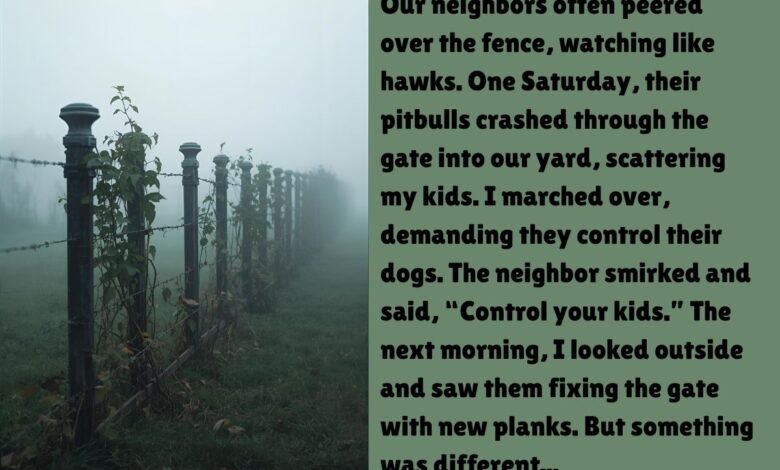 The Fence That Bound Us