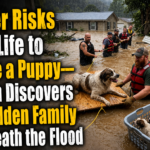 Biker Risks His Life to Save a Puppy—Then Discovers a Hidden Family Beneath the Flood